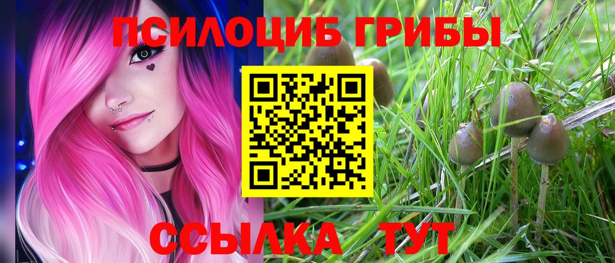Галлюциногенные грибы Psilocybine cubensis Щёкино