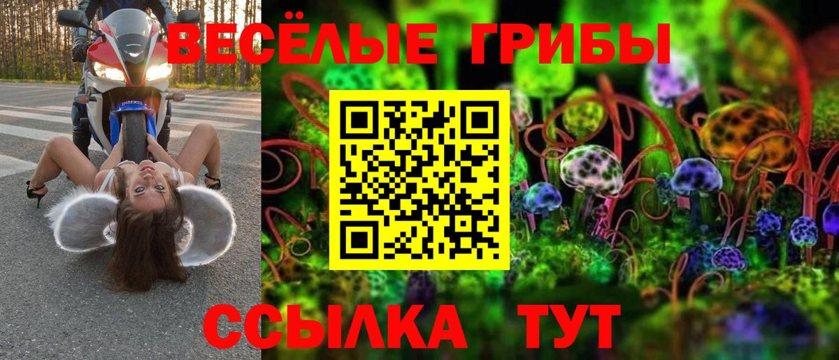 Щёкино  Псилоцибиновые грибы ЛСД  Вход с VPN 